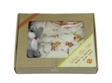 Infant Boys Gift Box Set